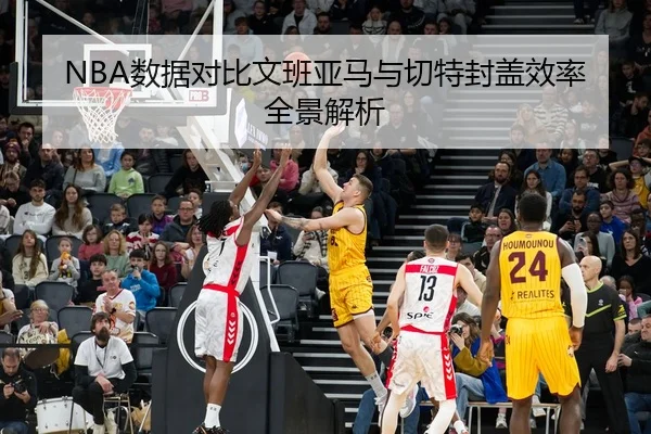 NBA数据对比文班亚马与切特封盖效率全景解析